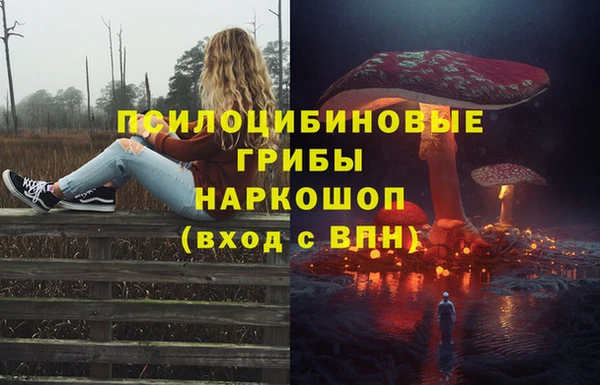 марки nbome Няндома